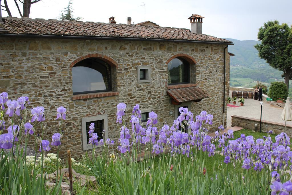 Fattoria Il Lago Dicomano Quarto foto